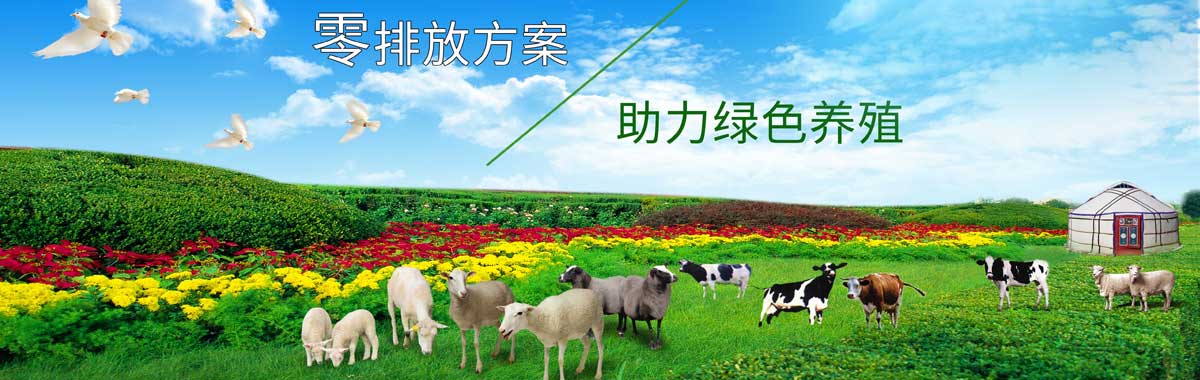 &#24320;&#20803;&#32593;&#39029;&#29256;&#95;&#24320;&#20803;&#40;&#20013;&#22269;&#41;
